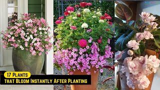 17 Plants that Bloom Instantly After Planting [upl. by Campy25]