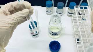 Experiment 10 Amino acids and proteins  Ninhydrin test [upl. by Chaney239]