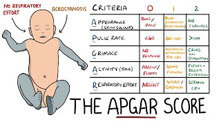 APGAR Score Made Easy  Newborn Assessment APGAR Mnemonic [upl. by Nosrettap]