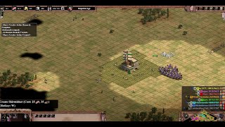 Playing 3v4  Noob 4v4  Land Nomad  Age Of Empires 2 [upl. by Eelibuj]