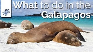 MustDos on Your Galapagos Tour [upl. by Nuahsed]