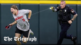 Pitchinvading baseball fan tasered by police after performing backflip [upl. by Aidam554]