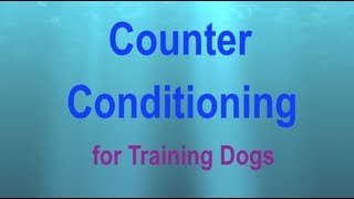 Counter Conditioning a Visual Explanation [upl. by Markowitz686]