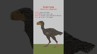 DIATRYMA TERROR BIRDS DATA  Gastornis Gigantea Prehistoric Birds  Extinct Animals [upl. by Yle]