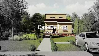 Casa moderna parter cu pod inalt  CaseDeTopro [upl. by Ebanreb377]