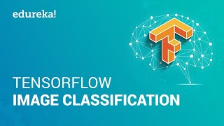 Tensorflow Image Classification  Build Your Own Image Classifier In Tensorflow  Edureka [upl. by Mahau24]