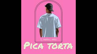 Pica Torta  Dj monkey White AFRO HOUSE 2024 [upl. by Markiv]