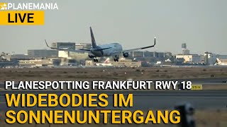 Planespotting LIVE Frankfurt Startbahn West Runway 18 letzter Sommerabend [upl. by Leonor]