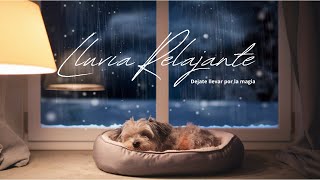 ✨ Sumérgete en la Calma 🌈 Déjate Llevar por La Magia de la 🌧️ LLUVIA RELAJANTE💖 [upl. by Annoet]