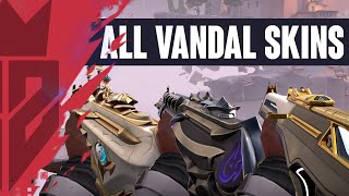 ALL VANDAL SKINS  ANIMATIONS  VALORANT VANDAL SKINS [upl. by Oicatsana832]