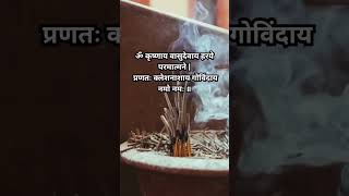 Powerful Krishna Mantra Krishnaya Vasudevaya Haraye Paramatmane Hare Krishna Meditation Mantra [upl. by Nahtal533]