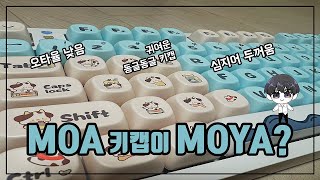 동글동글 귀여운 MOA 프로파일 키캡 [upl. by Den622]