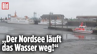 ExtremWetter Nordsee liegt plötzlich trocken [upl. by Adorne]