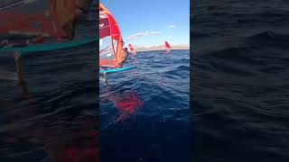 IQFoiling with da boys l IQFoilDaily iqfoildaily iqfoil windsurf surfing windsurfing [upl. by Tripp]