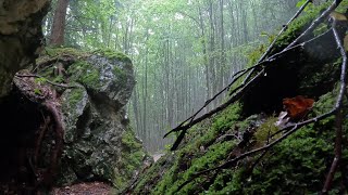 Krasser Fehltritt bei Höhlenbegehung I Die Abgründe der menschlichen Seele [upl. by Arielle]