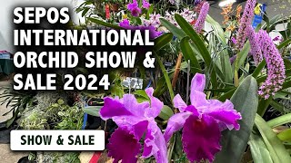 2024 SEPOS International Orchid Show amp Sale  Experience the LARGEST Orchid Show in the Northeast [upl. by Rodd521]