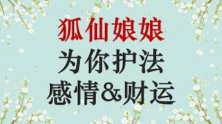 杨博士的灵界笔记：如何请狐仙娘娘成为守护神提升你的感情和财富 [upl. by Nylirehs]