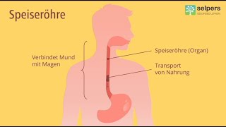 Chronische Entzündung der Speiseröhre  Eosinophile Ösophagitis Arzt erklärt [upl. by Kristian]