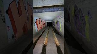 Exploring Sydneys Drain Systems shorts drains urbex underground [upl. by Peoples822]