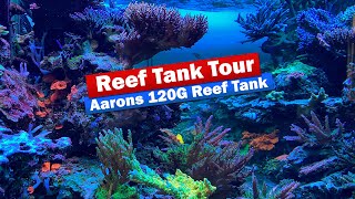 Aarons 120G Saltwater Aquarium Reef Tank Tour [upl. by Hutton860]