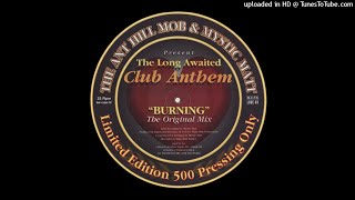 The Anthill Mob amp Mystic Matt  Burning The Original Mix [upl. by Yrrok]