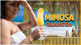 ASMR Meets Mimosas  Beachside Cocktails at Our Tiki Bar 🍹🎧🌴 [upl. by Brockie627]