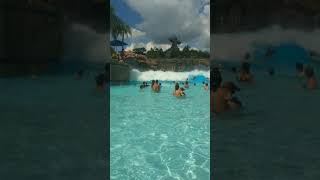 Typhoon Lagoon Surf Pool Artifical Wave [upl. by Doownelg752]