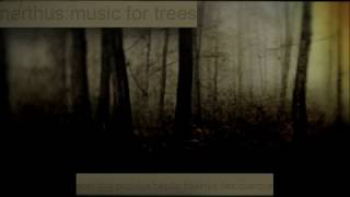 Nerthus ‎– Music For Trees 2013 FULL ALBUM [upl. by Ahsinom767]