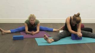 60 minutes Yin Yoga for the Spine [upl. by Swinton421]