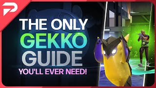 Everything You Need To Know About Gekko  Valorant New Agent Guide [upl. by Mary]