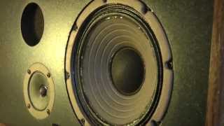 Speakers  Magnetism amp Sound [upl. by Ahsaei]