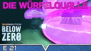 SUBNAUTICA Below Zero Deutsch ★ 21 Die Würfelqualle ★ Spy Pengling [upl. by Wareing]