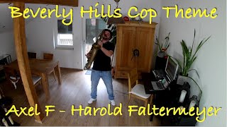 Beverly Hills Cop Theme  Axel F  Harold Faltermeyer Rolax Sax Cover [upl. by Jayme318]