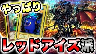 【遊戯王】購入カード紹介！カッコよすぎるレッドアイズ…【初期カードも】 [upl. by Ahslek]