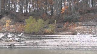 Salamonie Reservoir  West Of 105 South Shore Before Beach [upl. by Naiditch122]