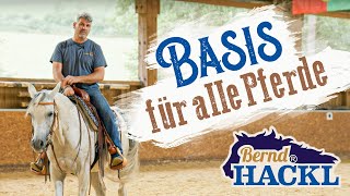 Die Basis für alle Pferde  Bernd Hackl erklärt 🐴 [upl. by Huai]