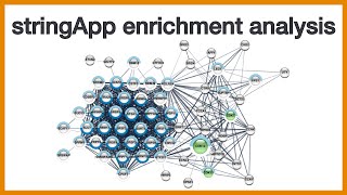 stringApp enrichment analysis Brief introduction to the GSEA functionality of Cytoscape stringApp [upl. by Cerelly348]