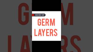 GERM LAYERS [upl. by Yatnuahs756]