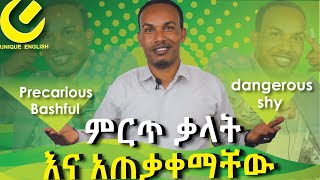 93Synonymsተመሳሳይ ትርጉም ያላቸዉ ቃላት [upl. by Nalon]