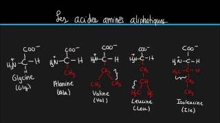 Biochimie 2 Les 20 acides aminés principaux [upl. by Azaria]