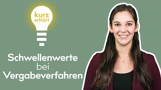 Schwellenwerte bei Vergabeverfahren  Kurz erklärt 2  BI MEDIEN [upl. by Mat]