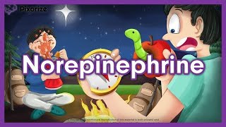 Norepinephrine Mnemonic for NCLEX  Nursing Pharmacology [upl. by Ellinehc]