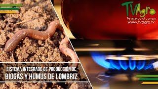 Sistema Integrado de Producción de Biogás y Humus de Lombriz  TvAgro por Juan Gonzalo Angel [upl. by Ahsienal]