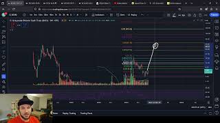 Grayscale Trusts ZCSH LTCN and BCHG LTC ETF [upl. by Euqinay]