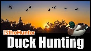 Duck Hunting Tutorial  theHunter Classic [upl. by Akin]