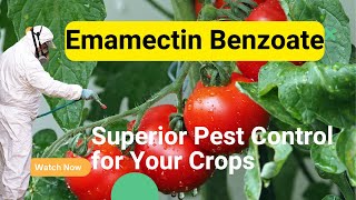 Emamectin Benzoate Insecticide Powerful Pest Control for Agriculture [upl. by Jones]