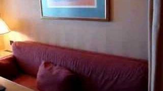 Zaandam Verandah Suite Stateroom Tour [upl. by Ilesara523]