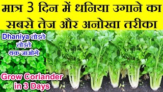 सिर्फ 3 दिन मे धनिया उगाने का बिल्कुल नया तरीका3 din me dhaniya kaise ugayeGrow Coriander in 3 day [upl. by Inat]