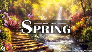 quotEnchanting Spring Lakeshore by Beautiful Waterfall quot by Aerial Relaxation Calm Spring Piano Music [upl. by Ggerk]