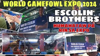 WORLD GAMEFOWL EXPO 2024  ESCOLIN BROTHERS  gwapo at magaling na mga manok  BALERIANS GAMEYARD [upl. by Calloway]